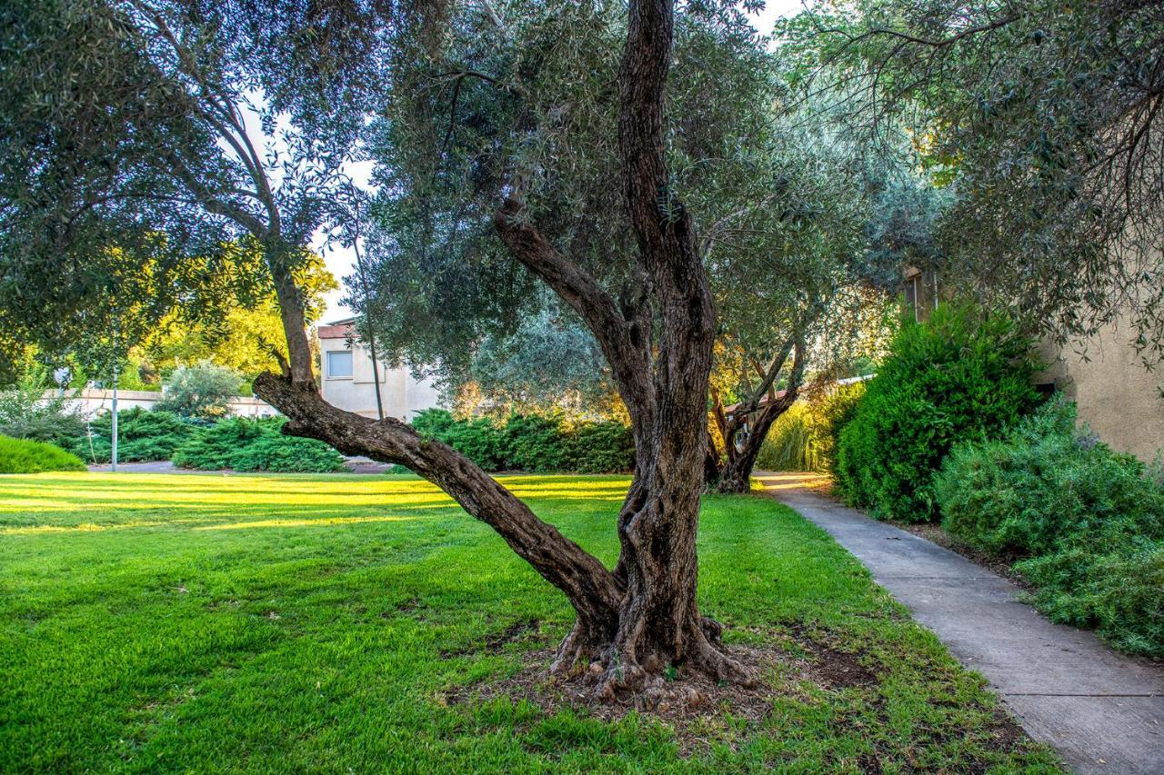 כפר הנופש קיבוץ גדות Kibbutz Gadot Galilean Resort Exteriör bild
