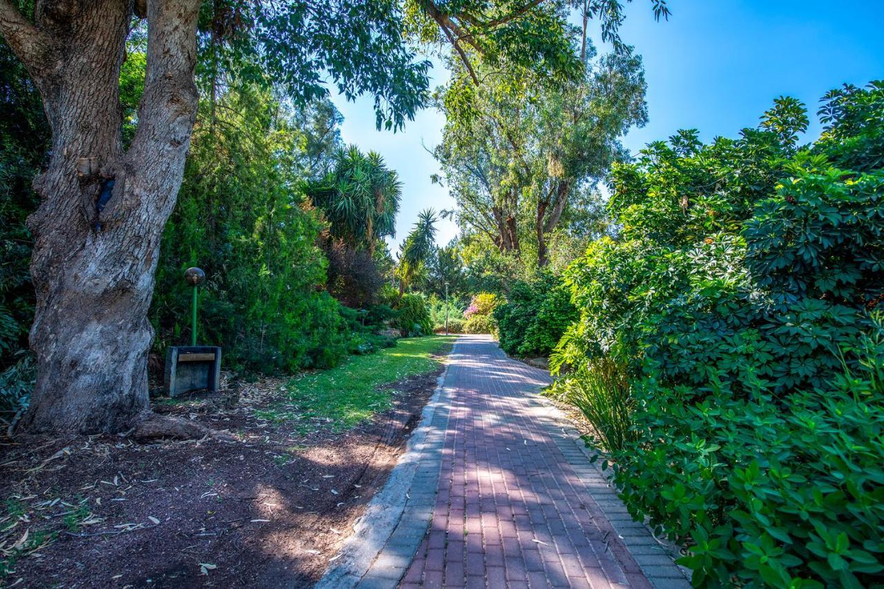 כפר הנופש קיבוץ גדות Kibbutz Gadot Galilean Resort Exteriör bild